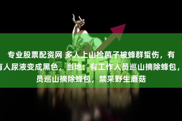 专业股票配资网 多人上山捡菌子被蜂群蜇伤，有人输液3天，有人尿液变成黑色，当地：有工作人员巡山摘除蜂包，禁采野生蘑菇
