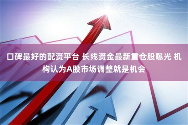 口碑最好的配资平台 长线资金最新重仓股曝光 机构认为A股市场调整就是机会
